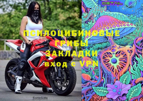 амф Алексин